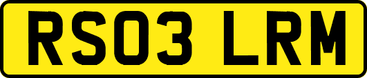 RS03LRM
