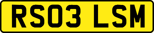 RS03LSM