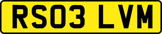 RS03LVM