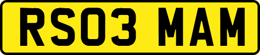 RS03MAM