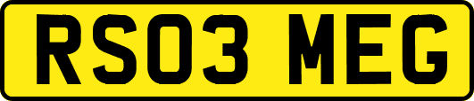 RS03MEG