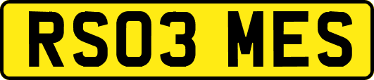 RS03MES