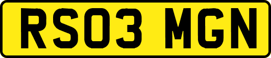 RS03MGN
