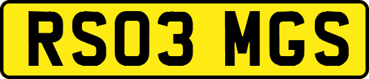 RS03MGS