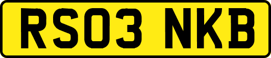 RS03NKB