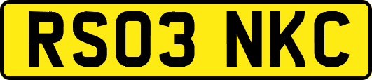 RS03NKC