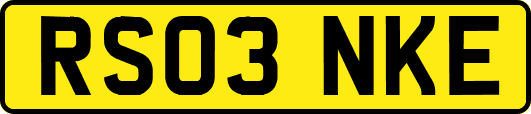 RS03NKE