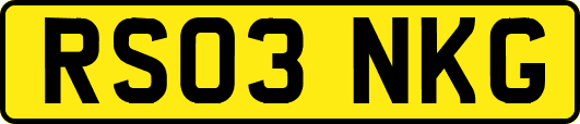 RS03NKG