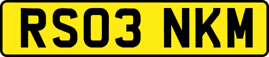 RS03NKM