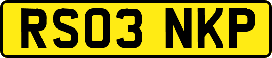 RS03NKP