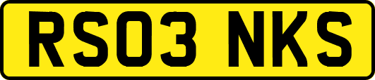 RS03NKS