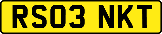RS03NKT