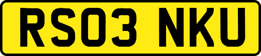 RS03NKU