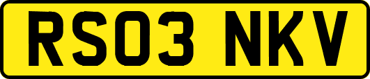RS03NKV