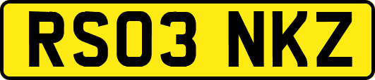 RS03NKZ