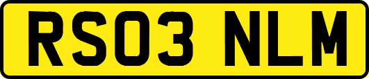 RS03NLM