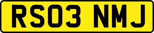 RS03NMJ