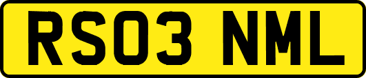 RS03NML