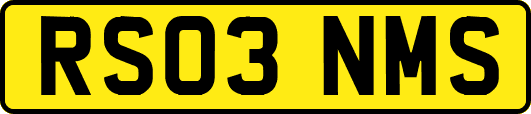 RS03NMS