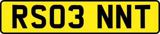 RS03NNT