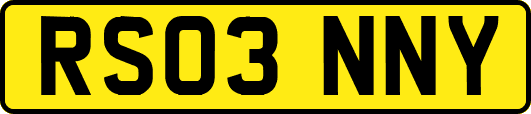 RS03NNY