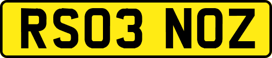 RS03NOZ