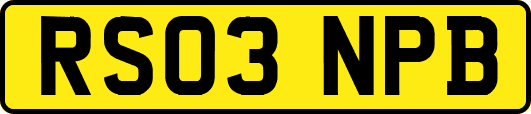 RS03NPB