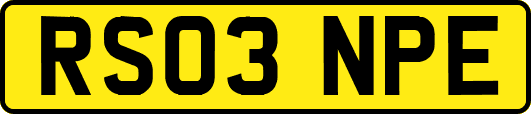 RS03NPE