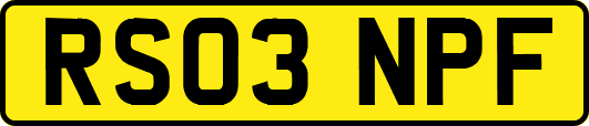 RS03NPF