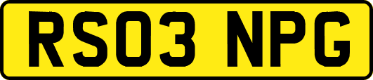 RS03NPG