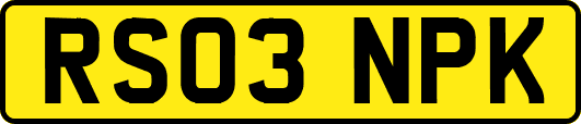 RS03NPK