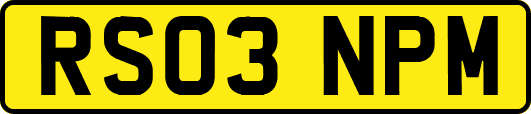 RS03NPM