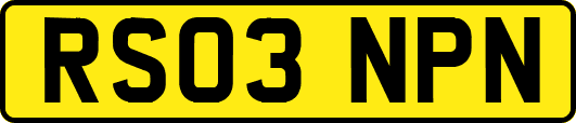 RS03NPN