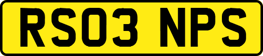 RS03NPS
