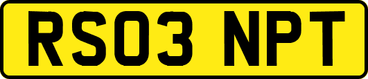 RS03NPT