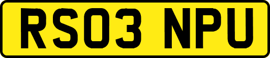 RS03NPU