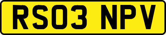 RS03NPV