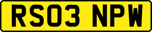 RS03NPW