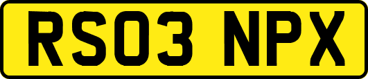 RS03NPX