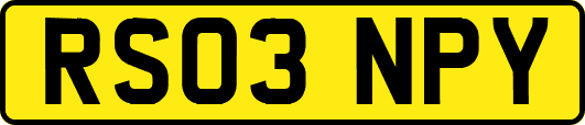 RS03NPY