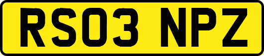 RS03NPZ