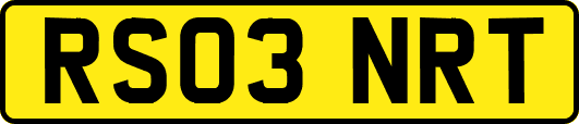 RS03NRT