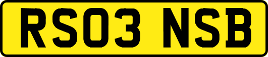 RS03NSB