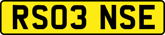 RS03NSE