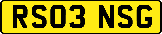 RS03NSG