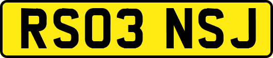 RS03NSJ