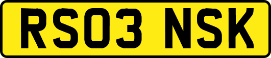 RS03NSK