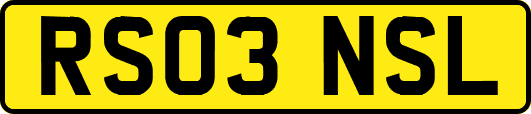 RS03NSL