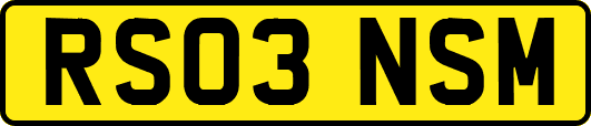 RS03NSM