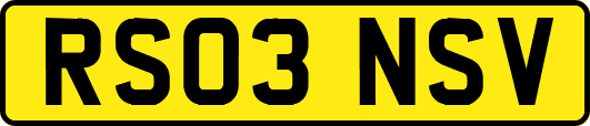 RS03NSV